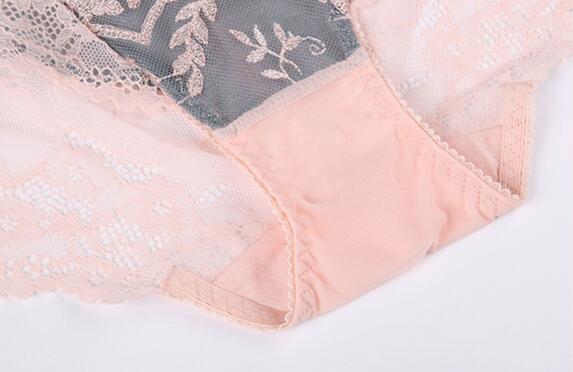 Thin lace embroidered low waisted sexy flat angle underwear