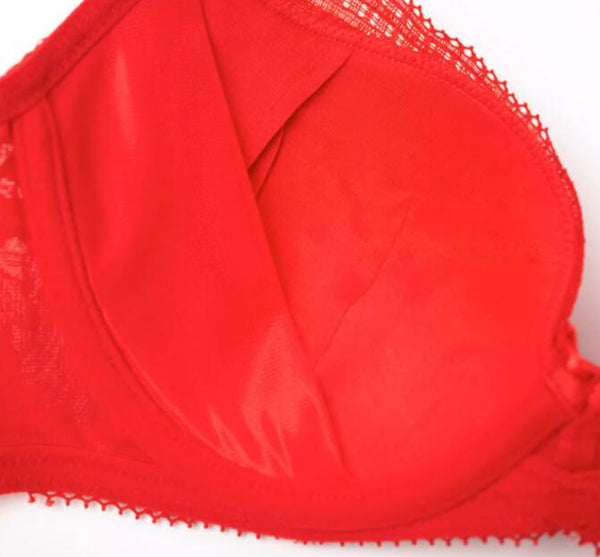 AERENEY 2024 Dragon Year Red Bra Set Lace Bra