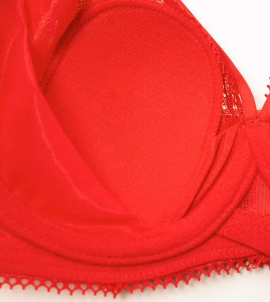 AERENEY 2024 Dragon Year Red Bra Set Lace Bra