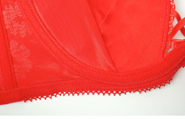 AERENEY 2024 Year of the Tiger Red Bra Set Lace Bra