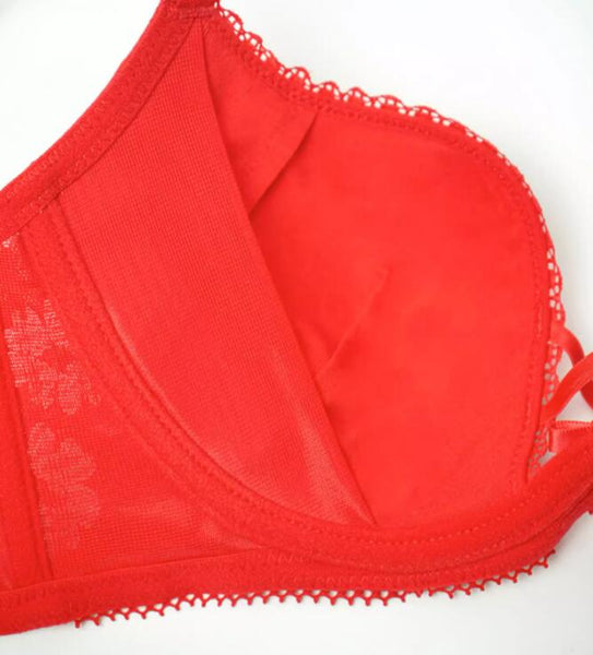 AERENEY 2024 Dragon Year Red Bra Set Lace Bra