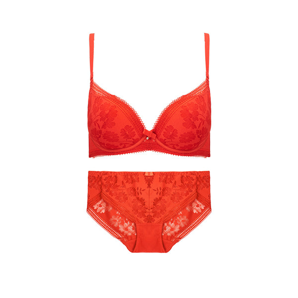 AERENEY 2024 Dragon Year Red Bra Set Lace Bra