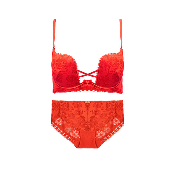 AERENEY 2024 Dragon Year Red Bra Set Lace Bra