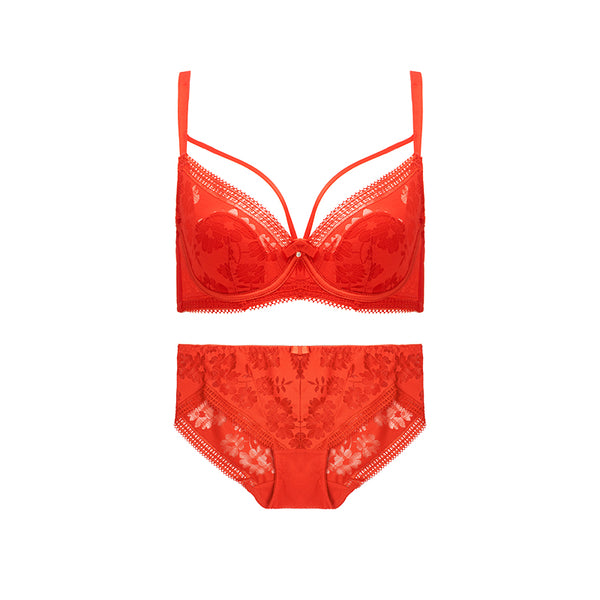 AERENEY 2024 Dragon Year Red Bra Set Lace Bra