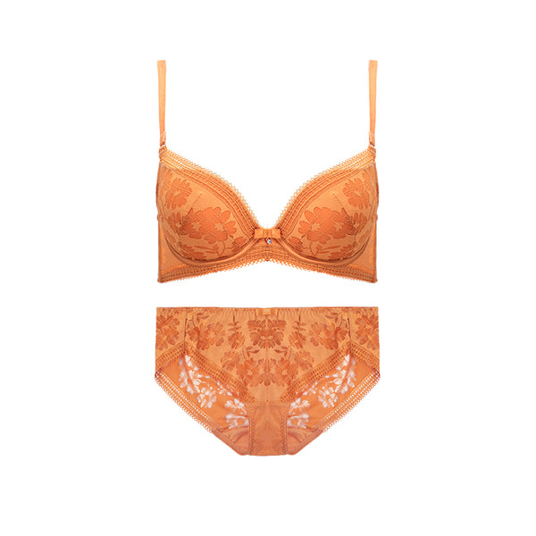 AERENEY 2024 Dragon Year Red Bra Set Lace Bra