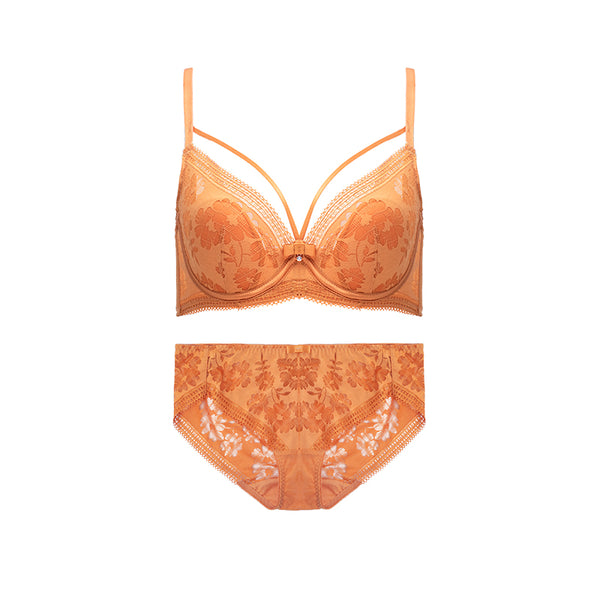 AERENEY 2024 Dragon Year Red Bra Set Lace Bra