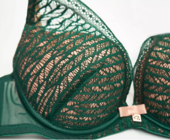 AERENEY Dragon Year Red Lace Bra Sexy Bra