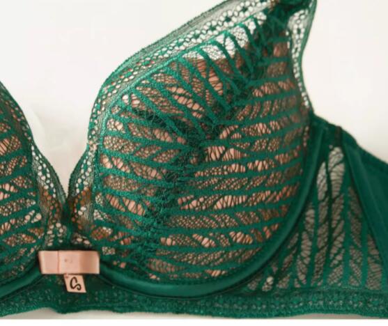 AERENEY Dragon Year Red Lace Bra Sexy Bra