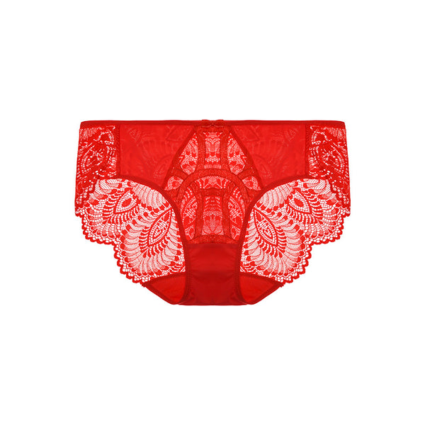 AERENEY sexy embroidered lace comfortable and breathable mesh underwear