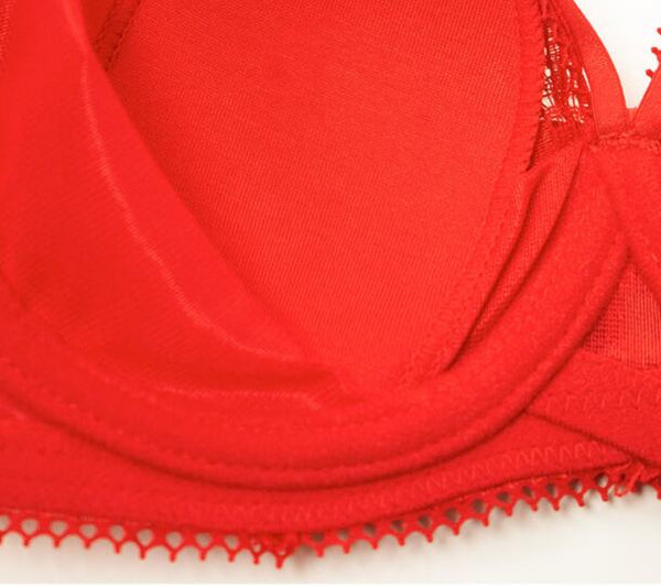 AERENEY 2024 Year of the Tiger Red Bra Set Lace Bra