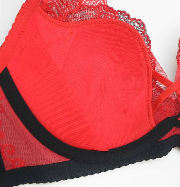 AERENEY Sexy Embroidered Lace Soft Underwire Bra Set